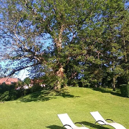 Сasa de vacaciones De La Souche Avec Jacuzzi Doudeauville